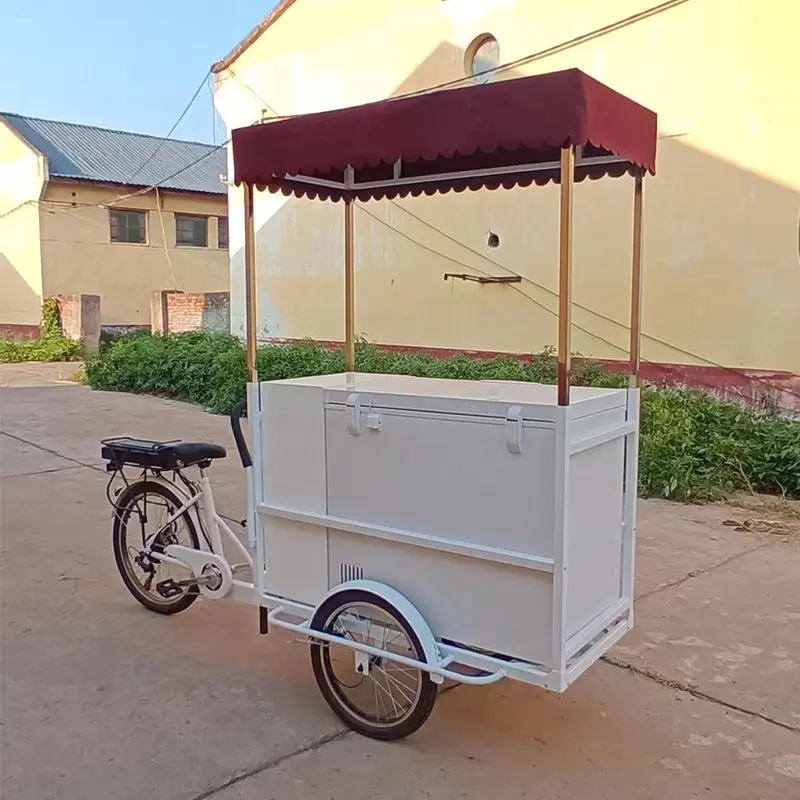 Klasik Pedallı Dondurma Arabası Bisikleti
